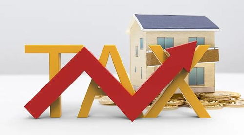 國家稅務總局推出10項稅收服務措施，助力長三角一體化高質量發展